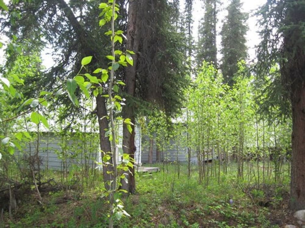 Denali Perch Resort - photo 19