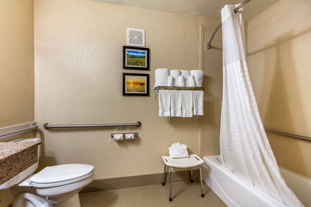 Comfort Inn Lenoir City Knoxville - photo 34