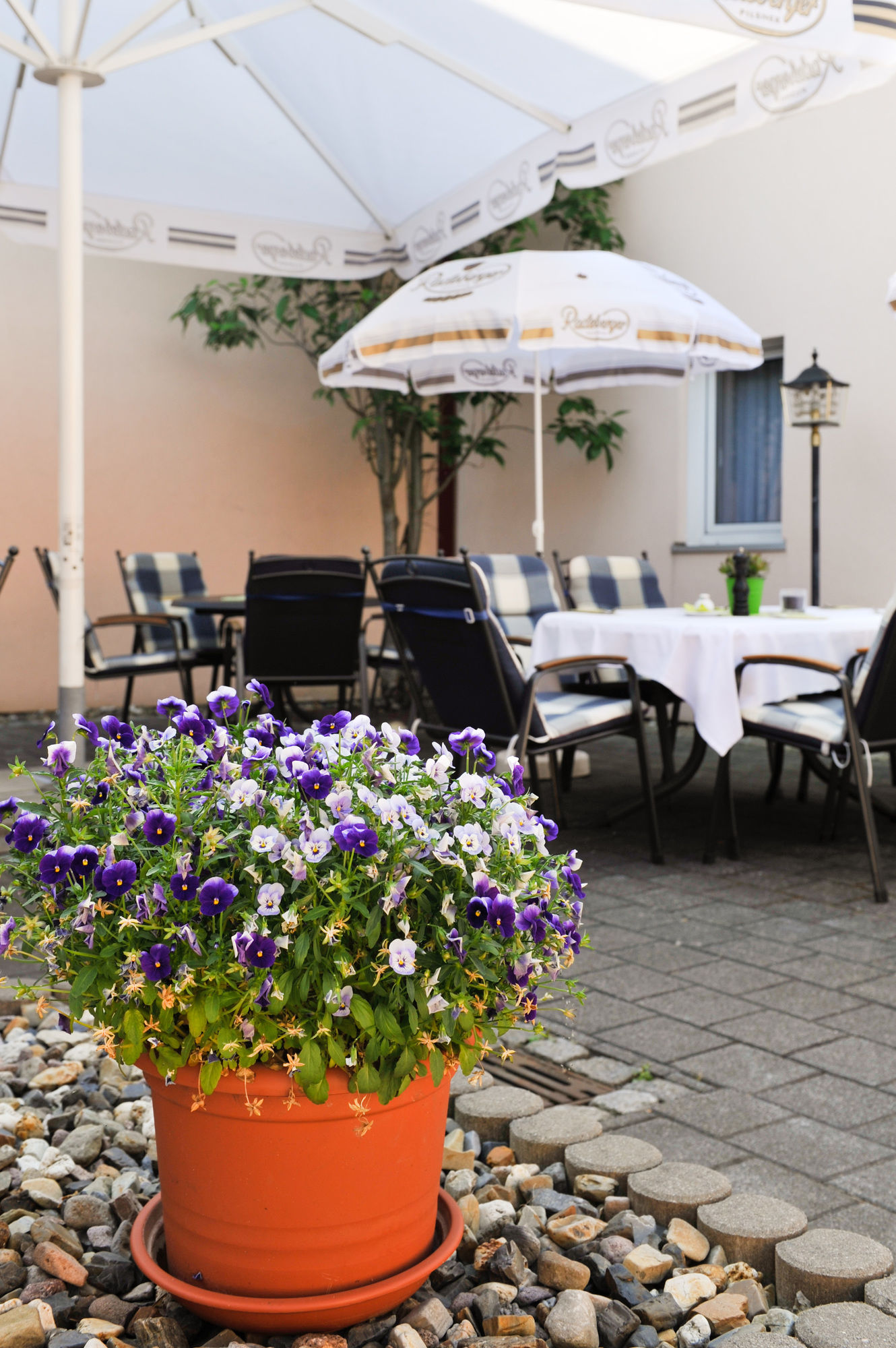 Airport Hotel Erfurt in Erfurt, Germany