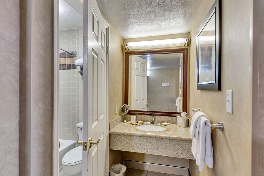 Radisson Hotel Salt Lake City Airport - photo 34