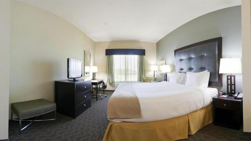 Holiday Inn Express Hotel & Suites Waycross by IHG - photo 8