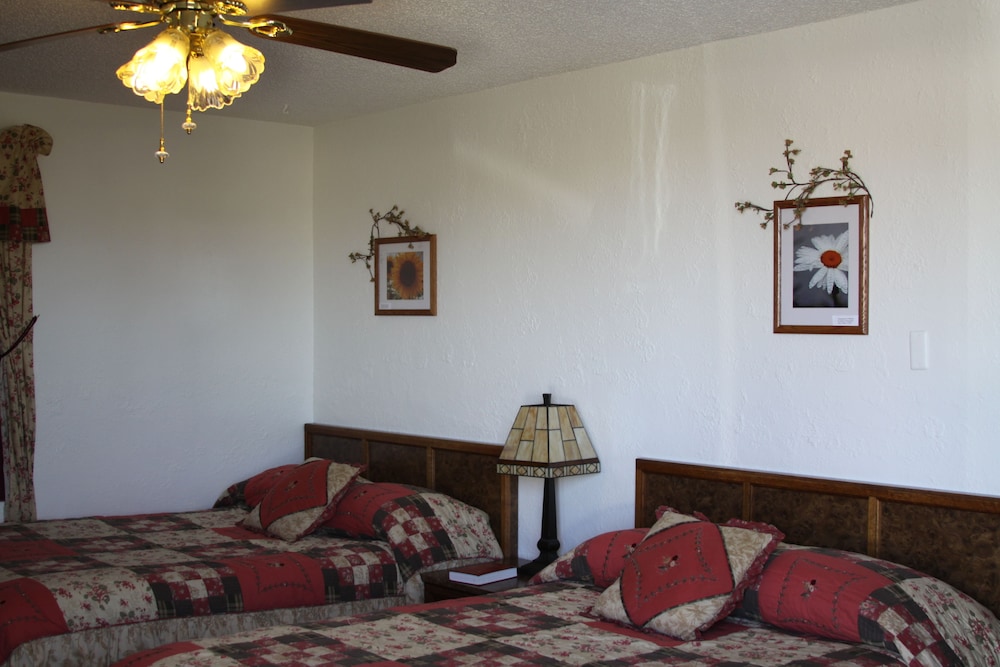 Sleep For Less Motel - photo 10
