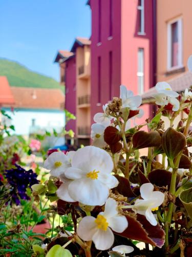 Hotel Casablanca — hotel in Gorazde