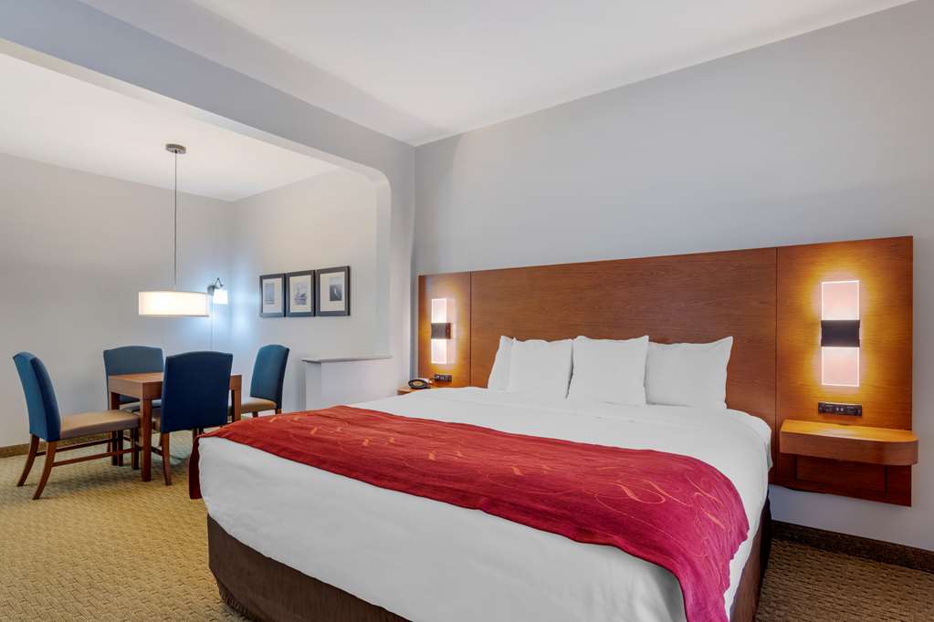 Comfort Suites La Porte Baytown - photo 10