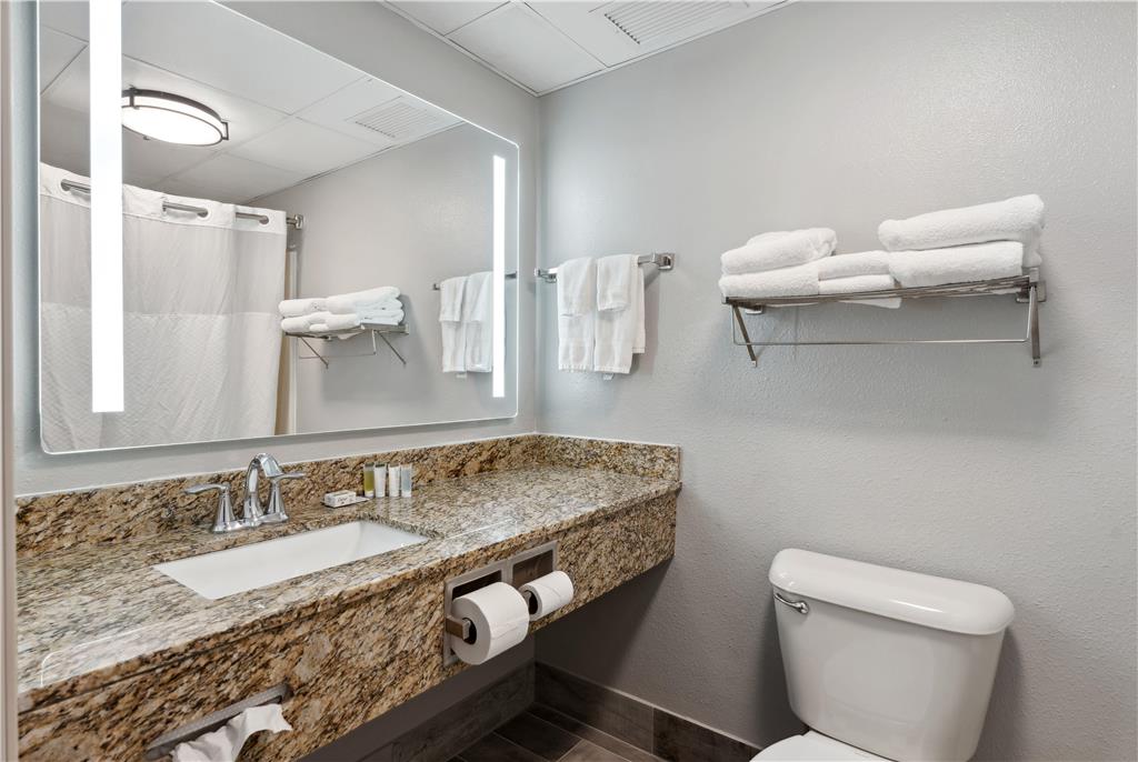 AmericInn by Wyndham Wisconsin Dells - photo 10