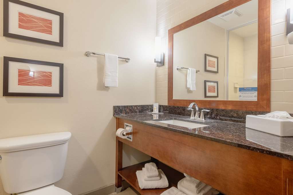 Comfort Inn & Suites Alamosa - photo 48