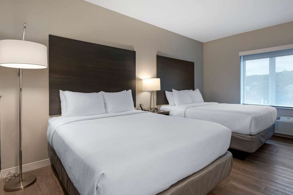 Comfort Suites Cincinnati University Downtown - photo 14