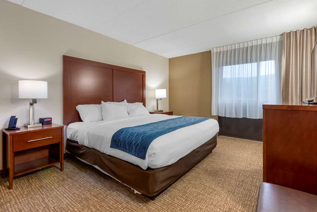 Comfort Inn Binghamton I 81 - photo 20