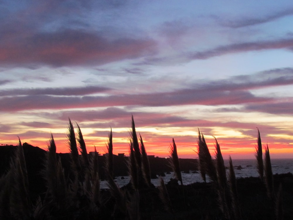 North Cliff Hotel - photo 27