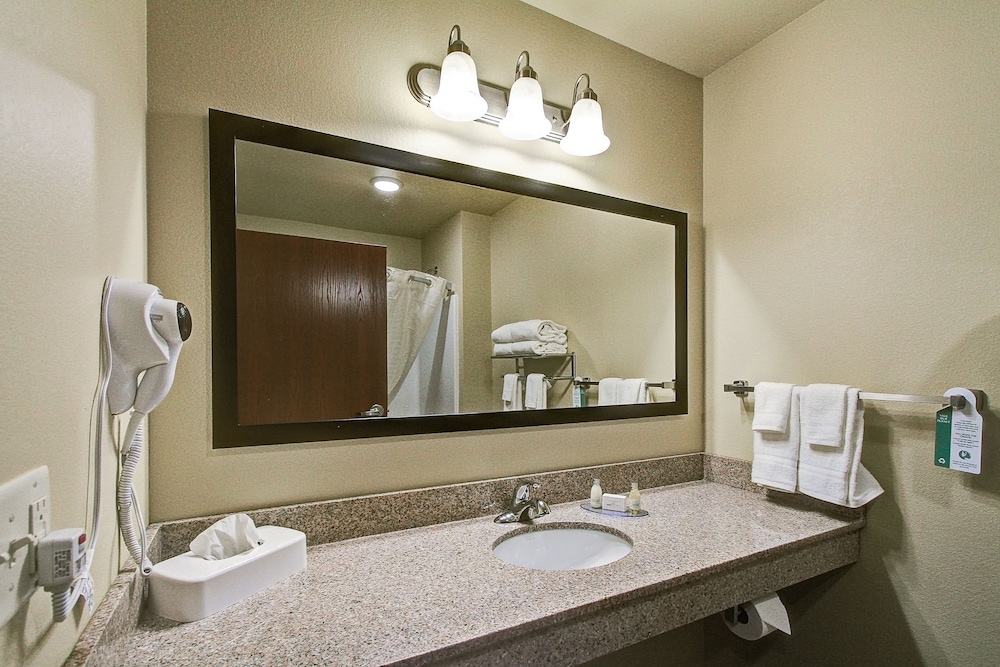 Cobblestone Hotel & Suites Pulaski Green Bay - photo 28