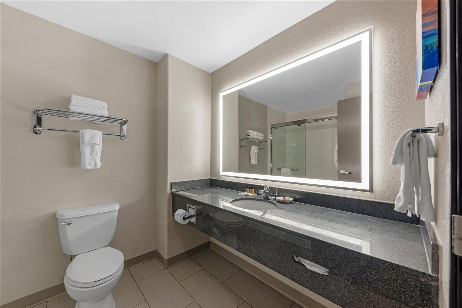 Best Western Plus Killeen Fort Cavazos Hotel & Suites - photo 39