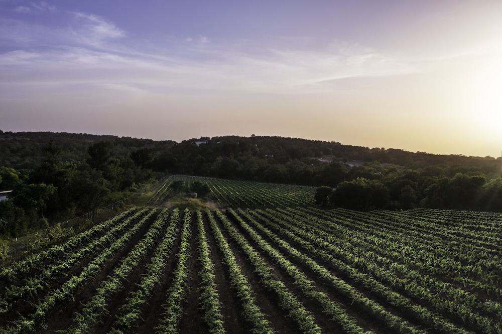 Carter Creek Winery Resort & Spa - photo 14