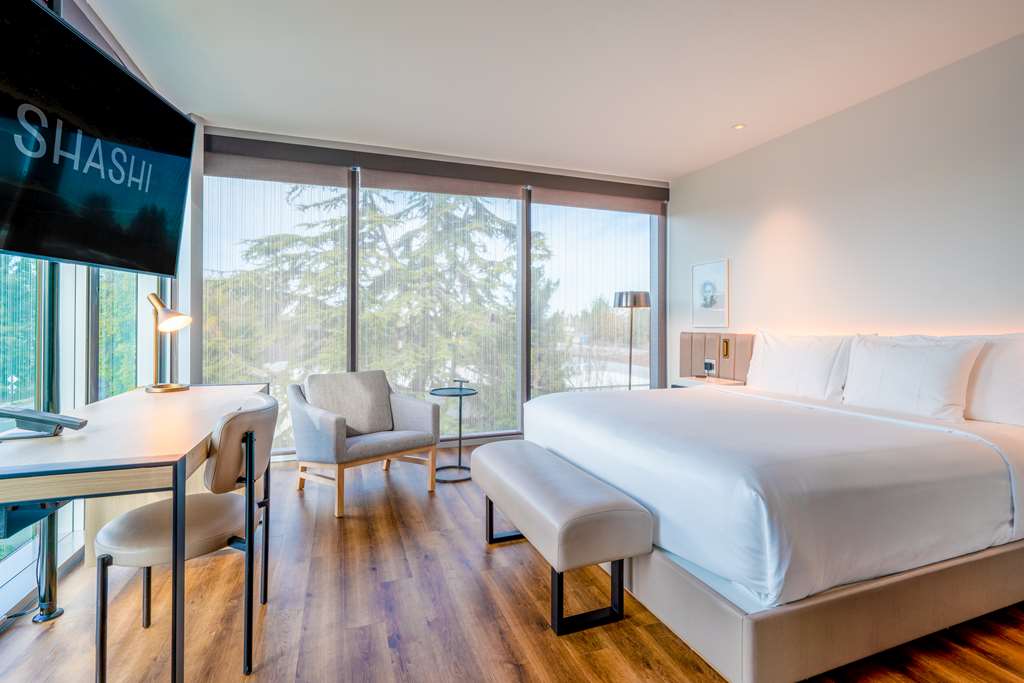 Shashi Hotel Mountain View Palo Alto - photo 7