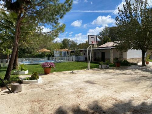 Paperodor in Prado Del Rey, Spain