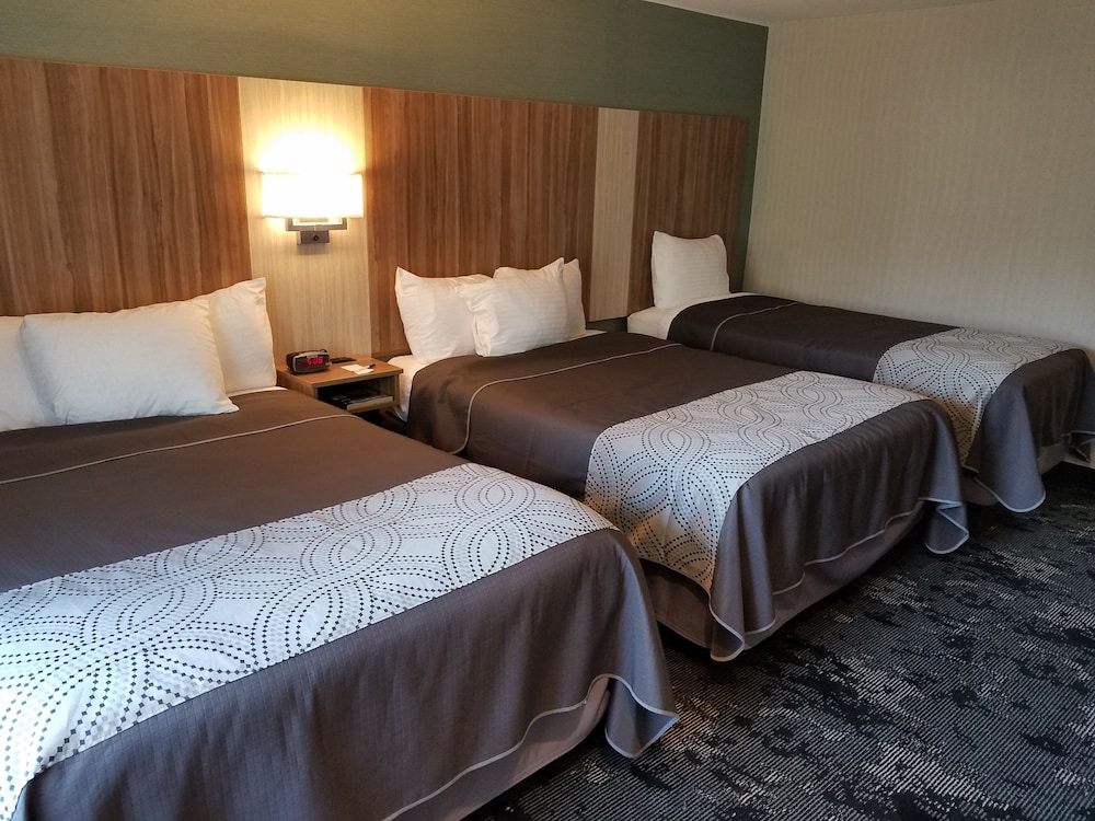 Aartpark Hotel Inn At Lewiston - photo 7