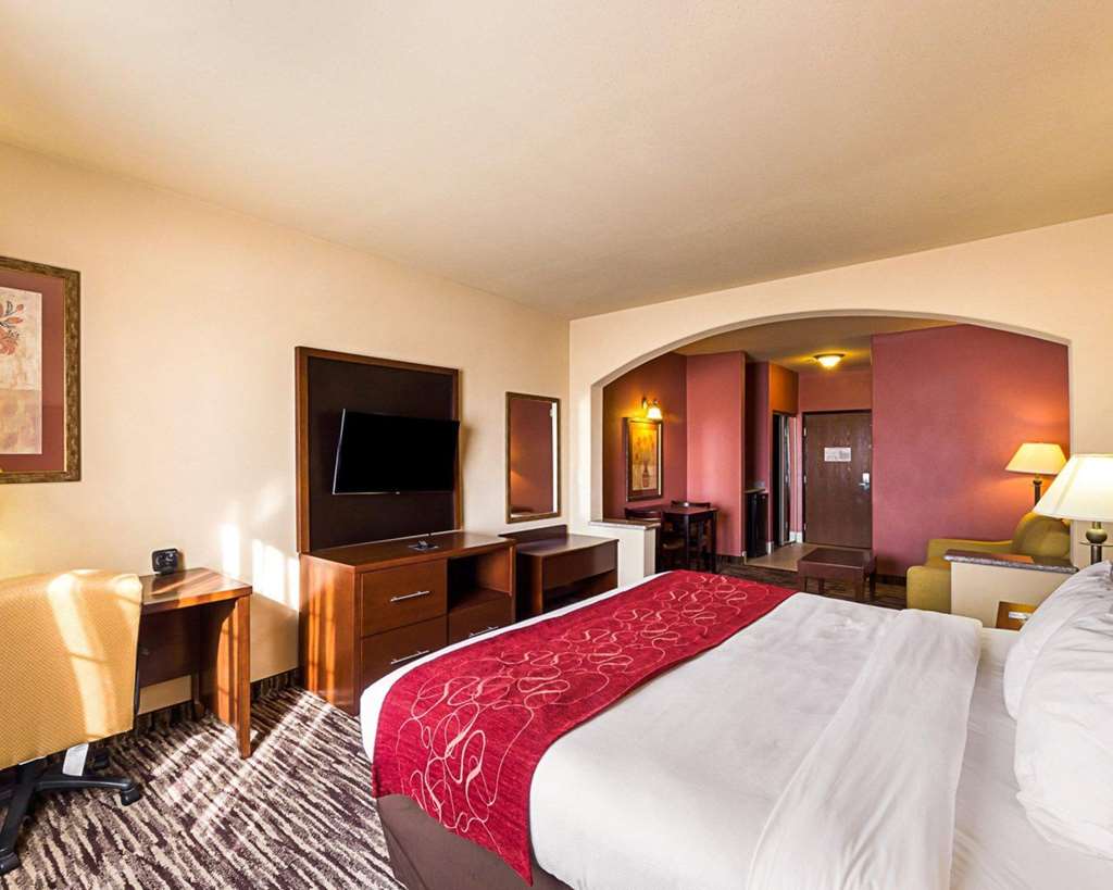 Comfort Suites McAllen Airport and La Plaza Mall - photo 14