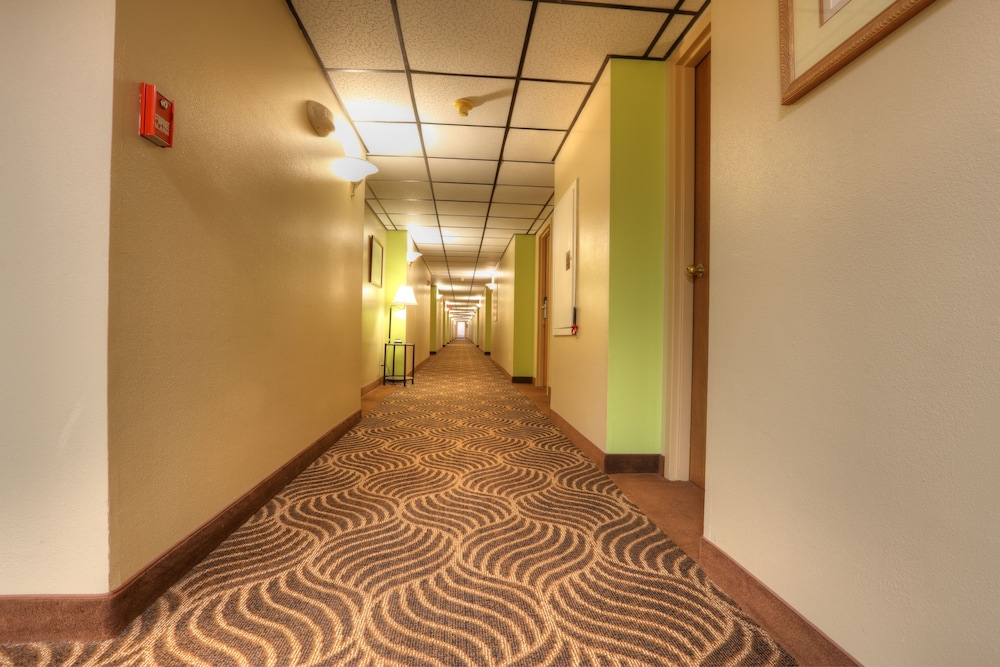 Dexter Inn - photo 29