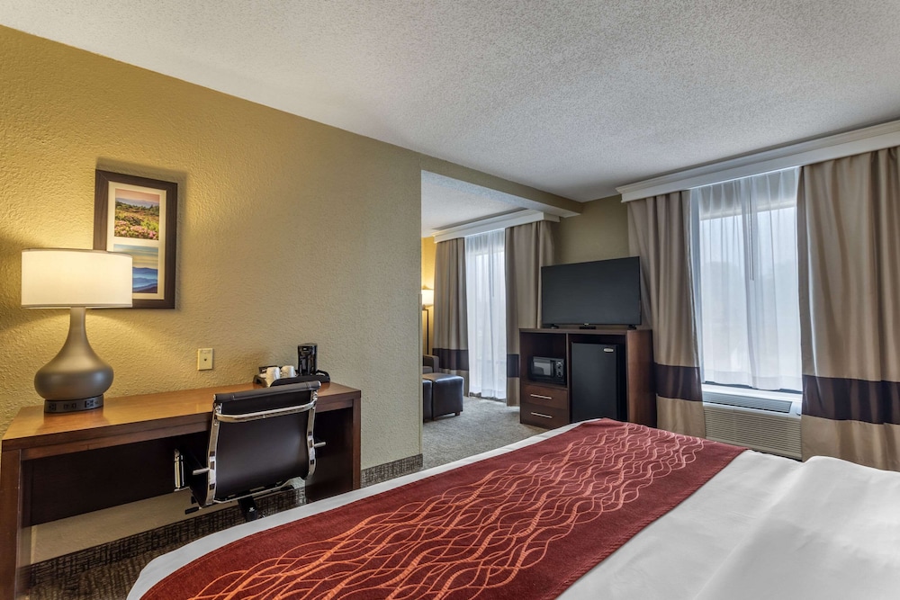 Comfort Inn Kingsport Southeast - photo 15