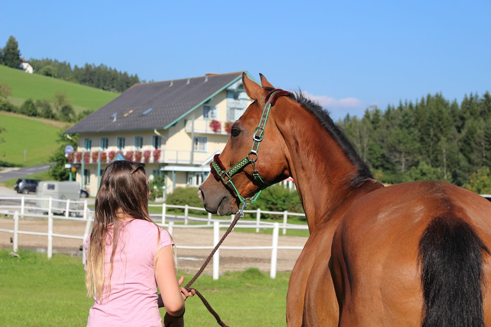 Narnhoferwirt in Sankt Jakob Im Walde, Austria