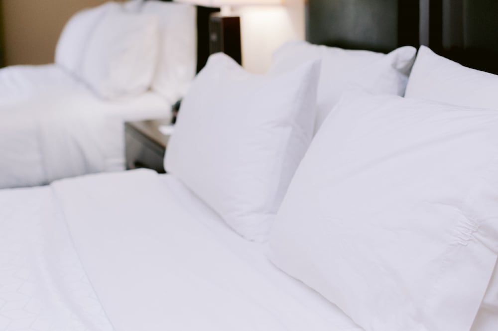 Holiday Inn Express Hotel & Suites Raleigh SW NC State by IHG - photo 7