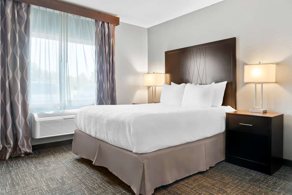 Best Western Plus Flint Airport Inn & Suites - photo 17