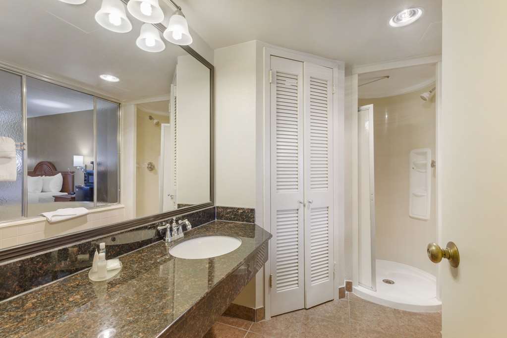 Comfort Inn University Center - photo 26