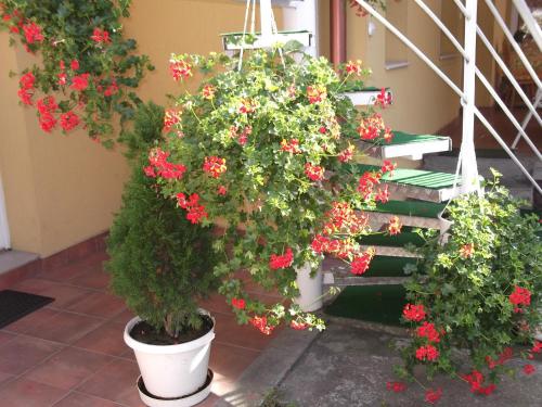 Ide Vissza Apartman — 4-Star Luxury Hotel in Siofok, Hungary