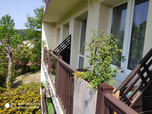 Willa Jasna in Krynica-Zdroj, Poland