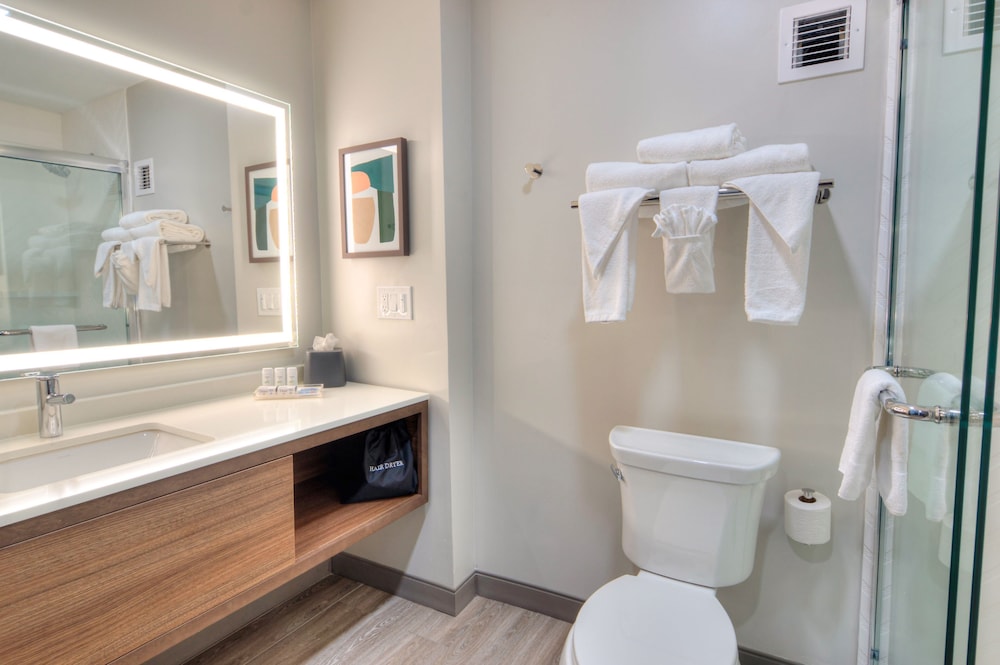 Holiday Inn Gainesville University Center by IHG - photo 22
