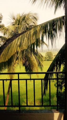 Stayvelle Inn — Murud — photo 4