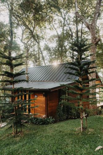 The Jungle Touch - carbon neutral hotel in Unknown City