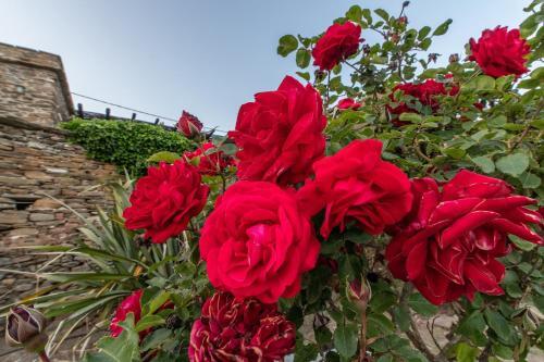 Villa Ghisi — 4-Star Luxury Hotel in Tinos, Greece