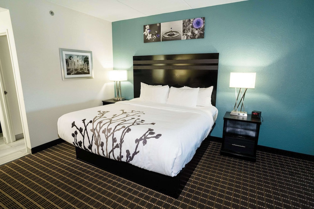 Sleep Inn & Suites Knoxville West - photo 60