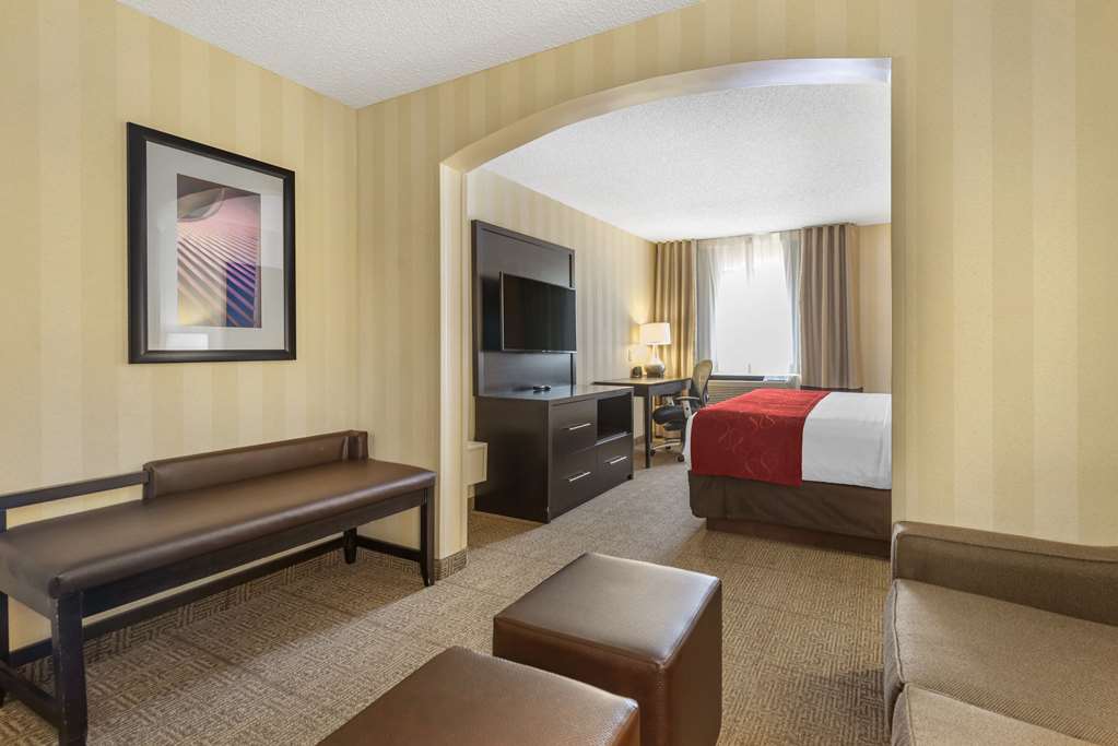 Comfort Suites Highlands Ranch Denver Tech Center Area - photo 10