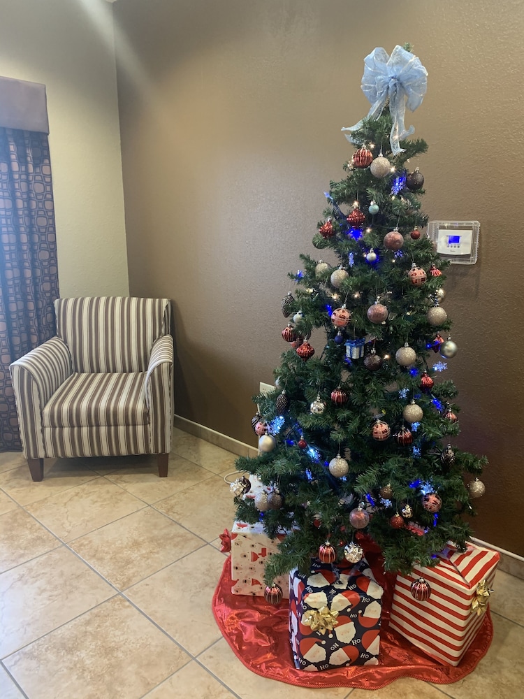 Microtel Inn And Suites Sayre PA - photo 5