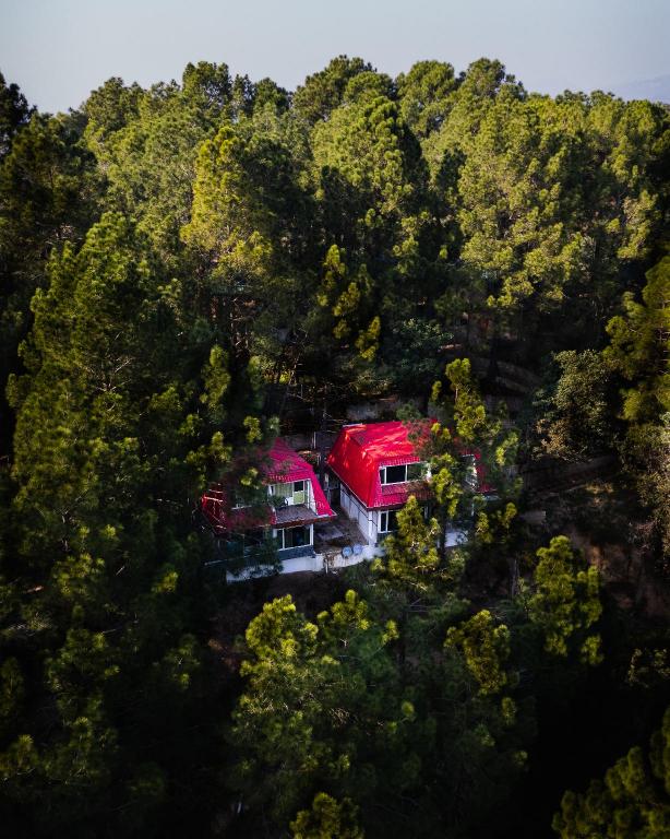 Pinewood Nirvana - carbon neutral hotel in Shimla
