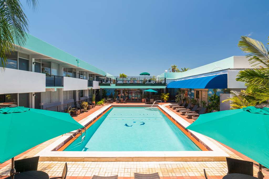 Quality Inn Miami South - photo 24