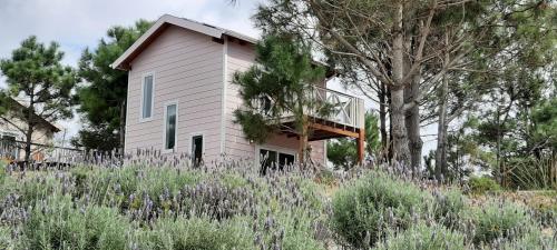 Villa Alba — 4-Star Luxury Hotel in None, Uruguay