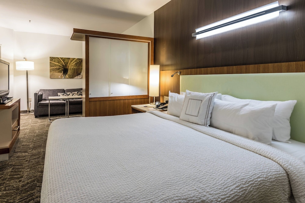 Springhill Suites Statesboro University Area - photo 9