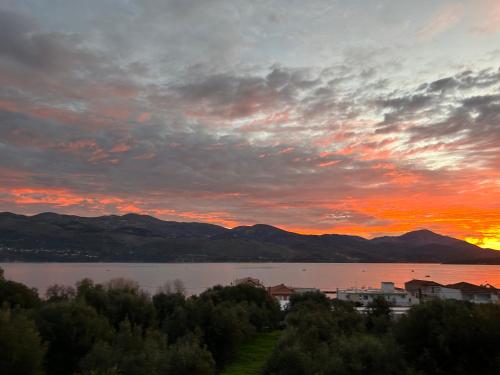 Emelia Apartment — 4-Star Luxury Hotel in Lixouri, Greece