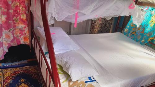 Tai Evi 2 in Unknown City, Fiji