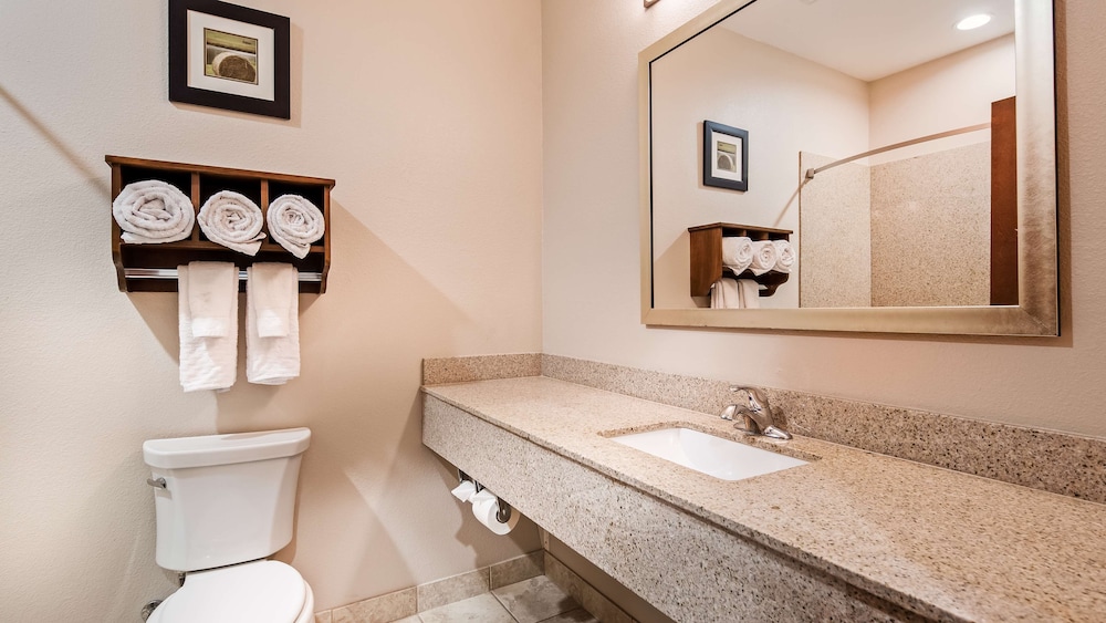 Best Western Plus Denver City Hotel and Suites - photo 12