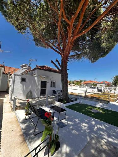 Limnos Twin Pine - last minute hotel in Unknown City