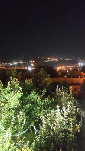 Sameba apartments