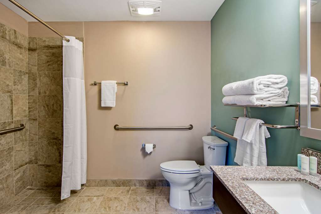 Clarion Inn & Suites Atlanta Downtown - photo 11