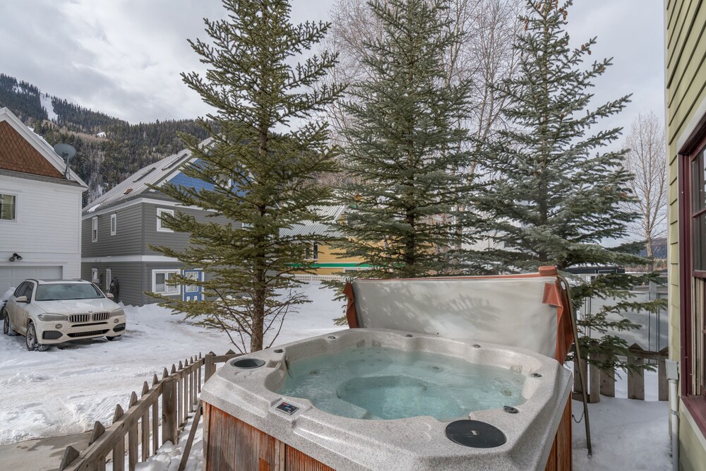 Bachman Village by Telluride Alpine Lodging - photo 29