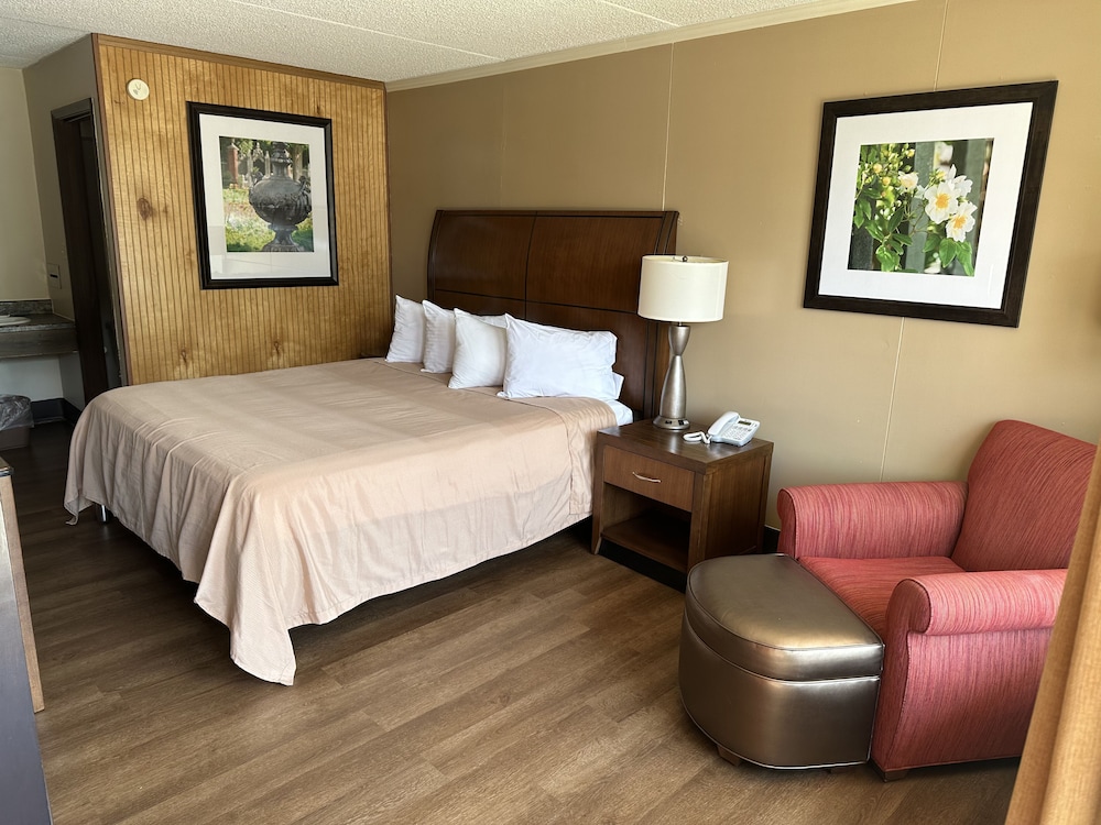 Daniel Boone Motor Inn - photo 6