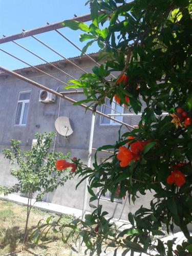 Guest House near Baku airport — 4-Star Luxury Hotel in Baku, Azerbaijan
