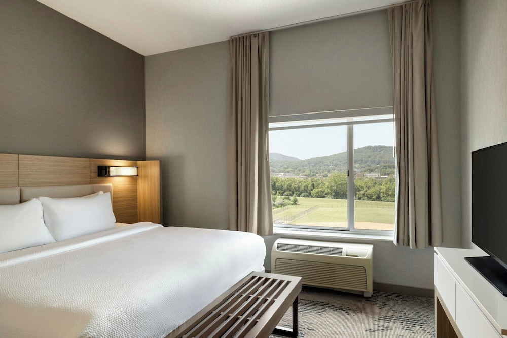 SpringHill Suites by Marriott Roanoke - photo 18