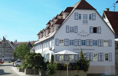 Hotel Restaurant Schwane — hotel in Messstetten